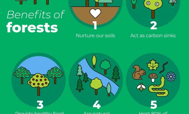 infografis manfaat hutan bagi dunia
