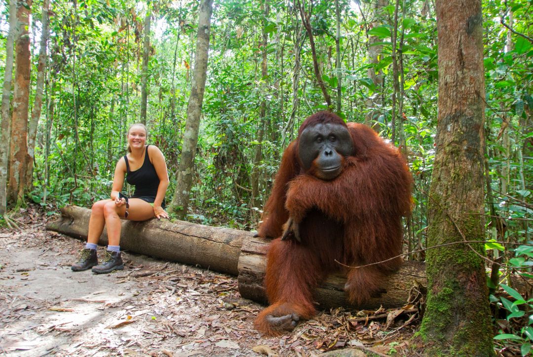 foto bersama orangutan