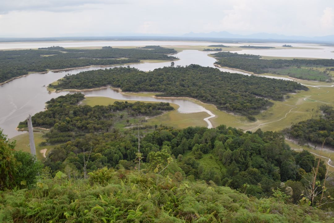 taman nasional danau sentarum