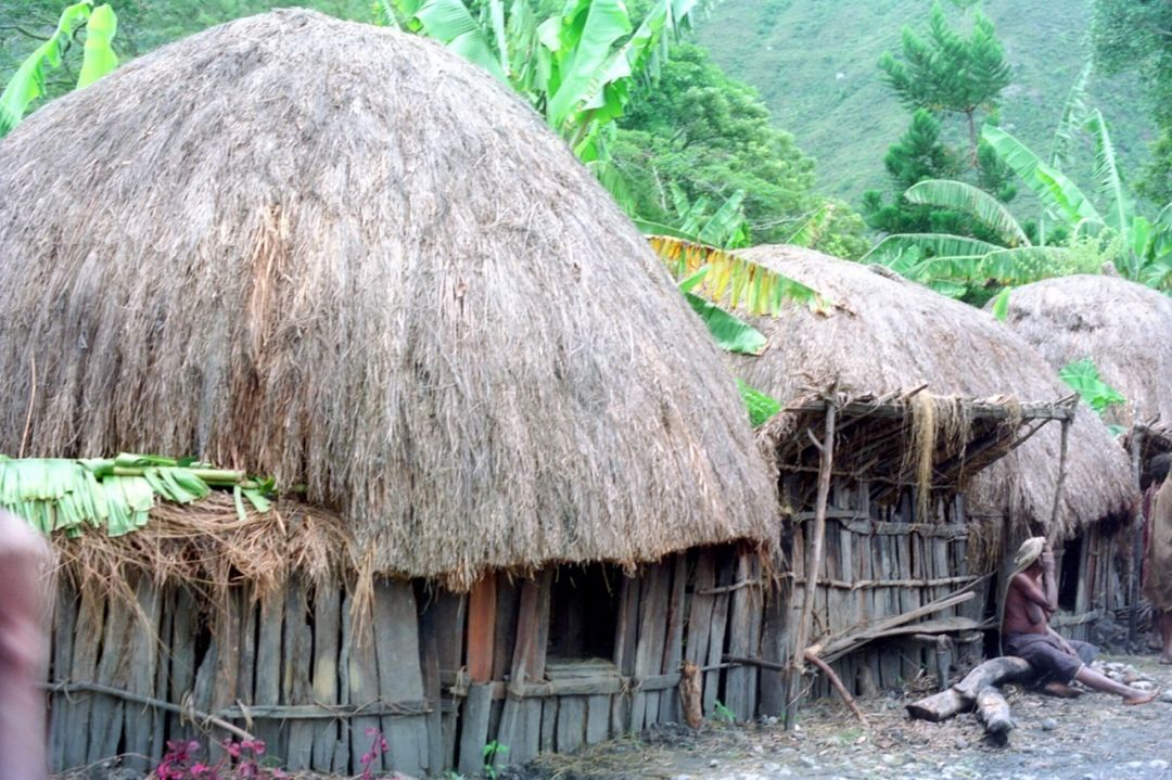 5 Rumah Adat Papua Keunikan Gambar Penjelasan Lengkap