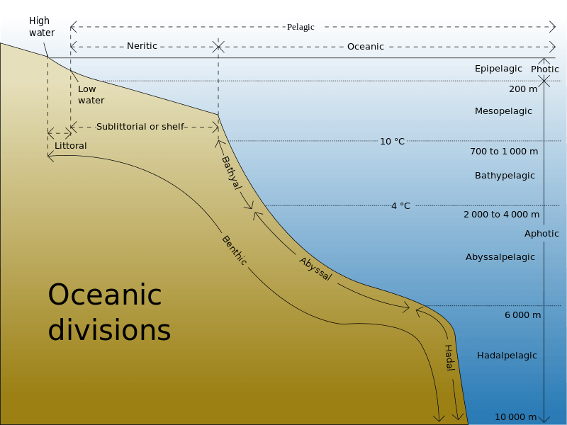 zona kedalaman laut
