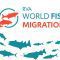 hari migrasi ikan sedunia