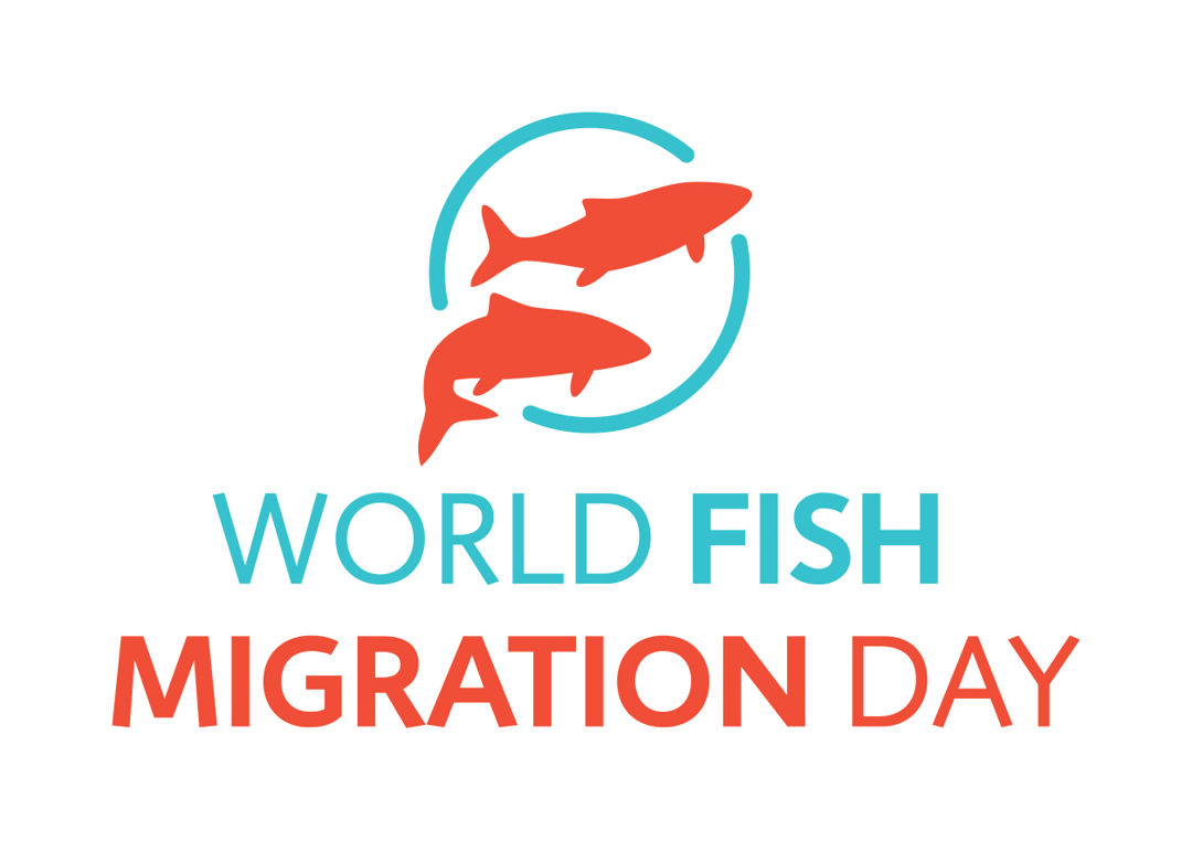 world fish migration day